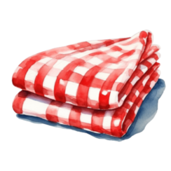 Camping Blanket